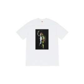 Picture of Supreme T Shirts Short _SKUSupremeS-2XLthtxS531261